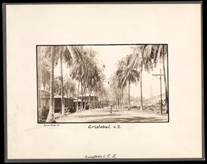 Vue d